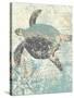 Sea Turtles II-Piper Ballantyne-Stretched Canvas