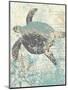 Sea Turtles II-Piper Ballantyne-Mounted Art Print