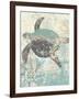 Sea Turtles II-Piper Ballantyne-Framed Art Print