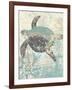 Sea Turtles II-Piper Ballantyne-Framed Art Print