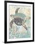 Sea Turtles II-Piper Ballantyne-Framed Art Print