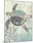 Sea Turtles II-Piper Ballantyne-Mounted Art Print