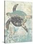 Sea Turtles II-Piper Ballantyne-Stretched Canvas