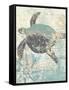 Sea Turtles II-Piper Ballantyne-Framed Stretched Canvas
