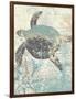 Sea Turtles II-Piper Ballantyne-Framed Art Print