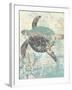 Sea Turtles II-Piper Ballantyne-Framed Art Print