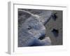 Sea Turtles to Sea, Maya Route, El Cuya, Mexico-Kenneth Garrett-Framed Premium Photographic Print