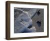 Sea Turtles to Sea, Maya Route, El Cuya, Mexico-Kenneth Garrett-Framed Photographic Print