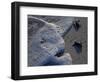 Sea Turtles to Sea, Maya Route, El Cuya, Mexico-Kenneth Garrett-Framed Photographic Print