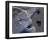 Sea Turtles to Sea, Maya Route, El Cuya, Mexico-Kenneth Garrett-Framed Photographic Print