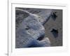 Sea Turtles to Sea, Maya Route, El Cuya, Mexico-Kenneth Garrett-Framed Photographic Print