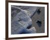 Sea Turtles to Sea, Maya Route, El Cuya, Mexico-Kenneth Garrett-Framed Photographic Print