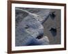 Sea Turtles to Sea, Maya Route, El Cuya, Mexico-Kenneth Garrett-Framed Photographic Print