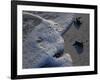 Sea Turtles to Sea, Maya Route, El Cuya, Mexico-Kenneth Garrett-Framed Photographic Print