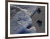 Sea Turtles to Sea, Maya Route, El Cuya, Mexico-Kenneth Garrett-Framed Photographic Print