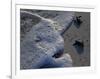 Sea Turtles to Sea, Maya Route, El Cuya, Mexico-Kenneth Garrett-Framed Photographic Print