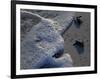 Sea Turtles to Sea, Maya Route, El Cuya, Mexico-Kenneth Garrett-Framed Photographic Print
