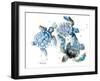 Sea Turtles-Suren Nersisyan-Framed Art Print