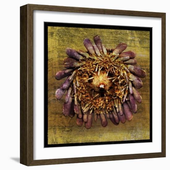 Sea Urchin 2-John W Golden-Framed Giclee Print