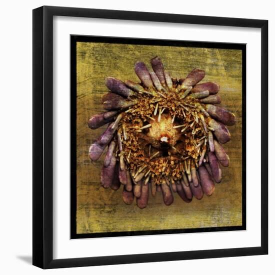 Sea Urchin 2-John W Golden-Framed Giclee Print