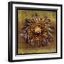 Sea Urchin 2-John W Golden-Framed Giclee Print