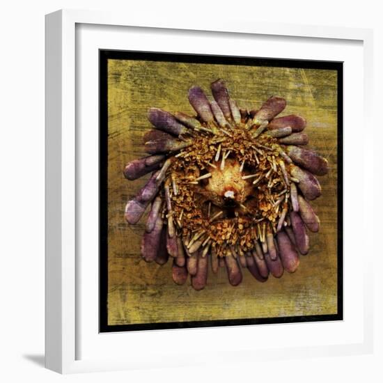 Sea Urchin 2-John W Golden-Framed Giclee Print