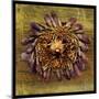 Sea Urchin 2-John W Golden-Mounted Giclee Print