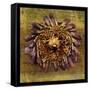 Sea Urchin 2-John W Golden-Framed Stretched Canvas