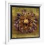 Sea Urchin 2-John W Golden-Framed Giclee Print