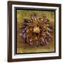 Sea Urchin 2-John W Golden-Framed Giclee Print