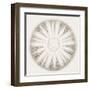 Sea Urchin - Alabaster-Ben Wood-Framed Giclee Print