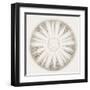 Sea Urchin - Alabaster-Ben Wood-Framed Giclee Print