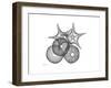 Sea Urchin and Starfish-Albert Koetsier-Framed Premium Giclee Print