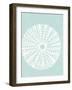 Sea Urchin II-Joni Whyte-Framed Giclee Print
