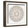 Sea Urchin - Pearl-Ben Wood-Framed Giclee Print