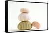 Sea Urchin Shells in a Pile-null-Framed Stretched Canvas