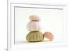 Sea Urchin Shells in a Pile-null-Framed Photographic Print