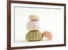 Sea Urchin Shells in a Pile-null-Framed Photographic Print