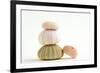 Sea Urchin Shells in a Pile-null-Framed Photographic Print