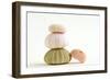 Sea Urchin Shells in a Pile-null-Framed Photographic Print