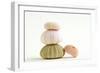 Sea Urchin Shells in a Pile-null-Framed Photographic Print