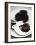 Sea Urchin with Scissors-null-Framed Photographic Print