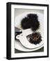 Sea Urchin with Scissors-null-Framed Photographic Print