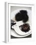 Sea Urchin with Scissors-null-Framed Photographic Print