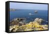 Sea View, St. Agnes Island, the Scillies, United Kingdom, Europe-Peter Groenendijk-Framed Stretched Canvas