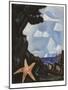 Sea View--Starfish, New England, 1934 (Oil on Board)-Marsden Hartley-Mounted Giclee Print