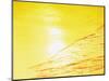Sea Waves in Yellow with Sunlight-null-Mounted Photographic Print