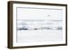 Sea Waves with Flying Seagull-Sarosa-Framed Photographic Print