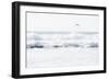 Sea Waves with Flying Seagull-Sarosa-Framed Photographic Print