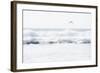 Sea Waves with Flying Seagull-Sarosa-Framed Photographic Print